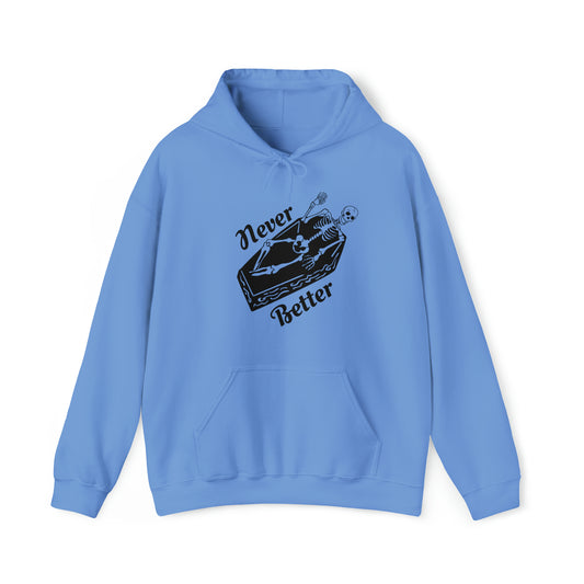 Never better Adult Hoodie